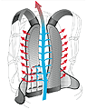 Rucksack mit Kamineffekt