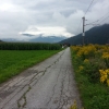 auf dem Inntaler Radweg