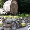 Weinfass / Weingegend