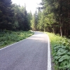 durch viel Wald unterwegs zum Passo Manghen