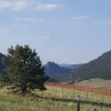 20160622_073851