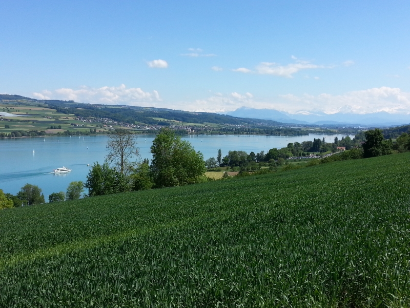 Hallwilersee