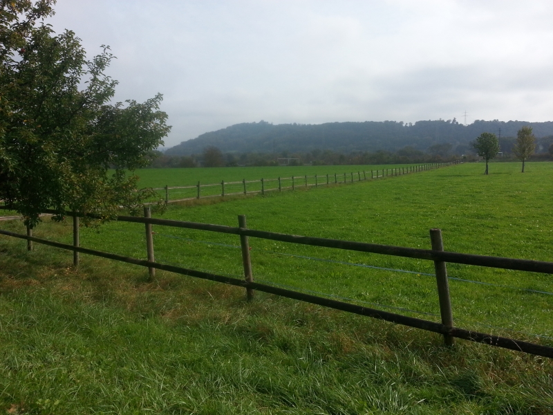 Der Nebel lichtet sich doch noch