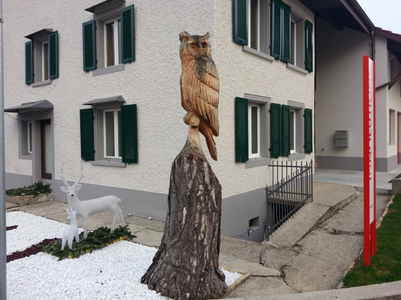 Eule am Strassenrand