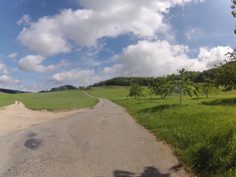 Kienberg - Wölflinswil