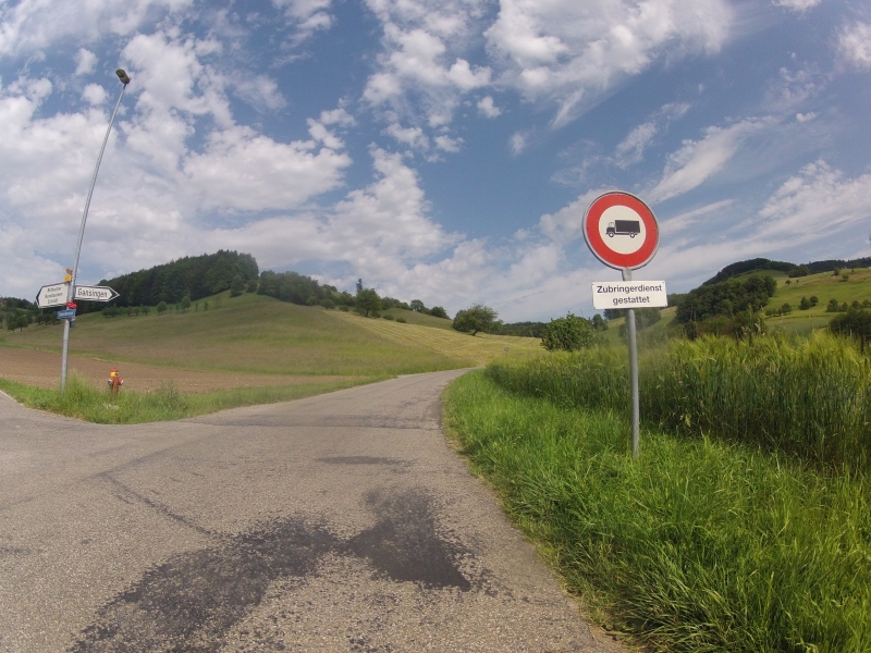 von Sulz nach Gansingen