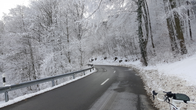 kurz vor der Höhe auf die Staffelegg