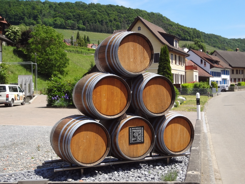 Weinfässer in Tegerfelden