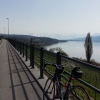Hallwilersee am Alpenrand