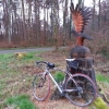 Adler auf Rennrad