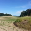 Blick von der Ampferenhöhe