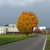 Suhr