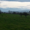 Blick in die Alpen