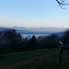 am Hallwilersee
