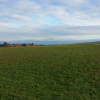 Alpenkamm vom Niesen aus gesehen
