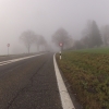 Nebel am Bözberg