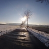 Birrfeld