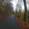 Waldweg
