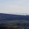 Blick zu den Alpen, von der Strasse Baldingen - Lengnau