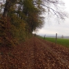 Waldweg zum Rüsler