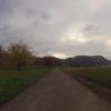 Radweg bei Leibstadt