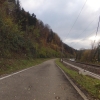 Radweg entlang des Rheins