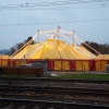Zirkus in Dottikon