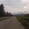 Letzte Kürbisse im Surbtal
