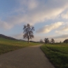 Radweg Niederrohrdorf - Künten