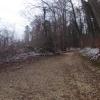 Siggenthal Station im Wald