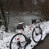 gefrorener Weiher bei Dättwil