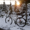 Rennrad im winterlichen Abendlicht