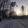 Abstecher in den Wald