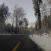 Winterlich