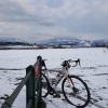 Oberhalb Sins, Blick zurück in die verschneiten Alpen