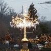 Eisbaum in der Adventsdekoration