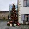 Weihnachtsbaum in Mellingen