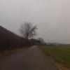 Villigerfeld