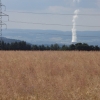 Blick nach Leibstadt