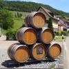Weinfässer in Tegerfelden