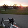 Abendsonne bei Wildegg
