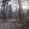 Winterlandschaft bei Mägenwil