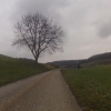 zum Zurzacherberg hinauf