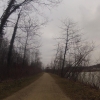 Der Aare entlang