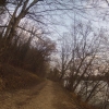 Der Aare entlang