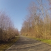 Zwischen Hunzenschwil und Buchs