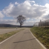 Villigerfeld bei Remigen