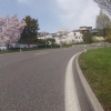Blust am Strassenrand