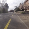 Blust am Strassenrand