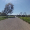 Frühlingsstimmung bei Hermetschwil